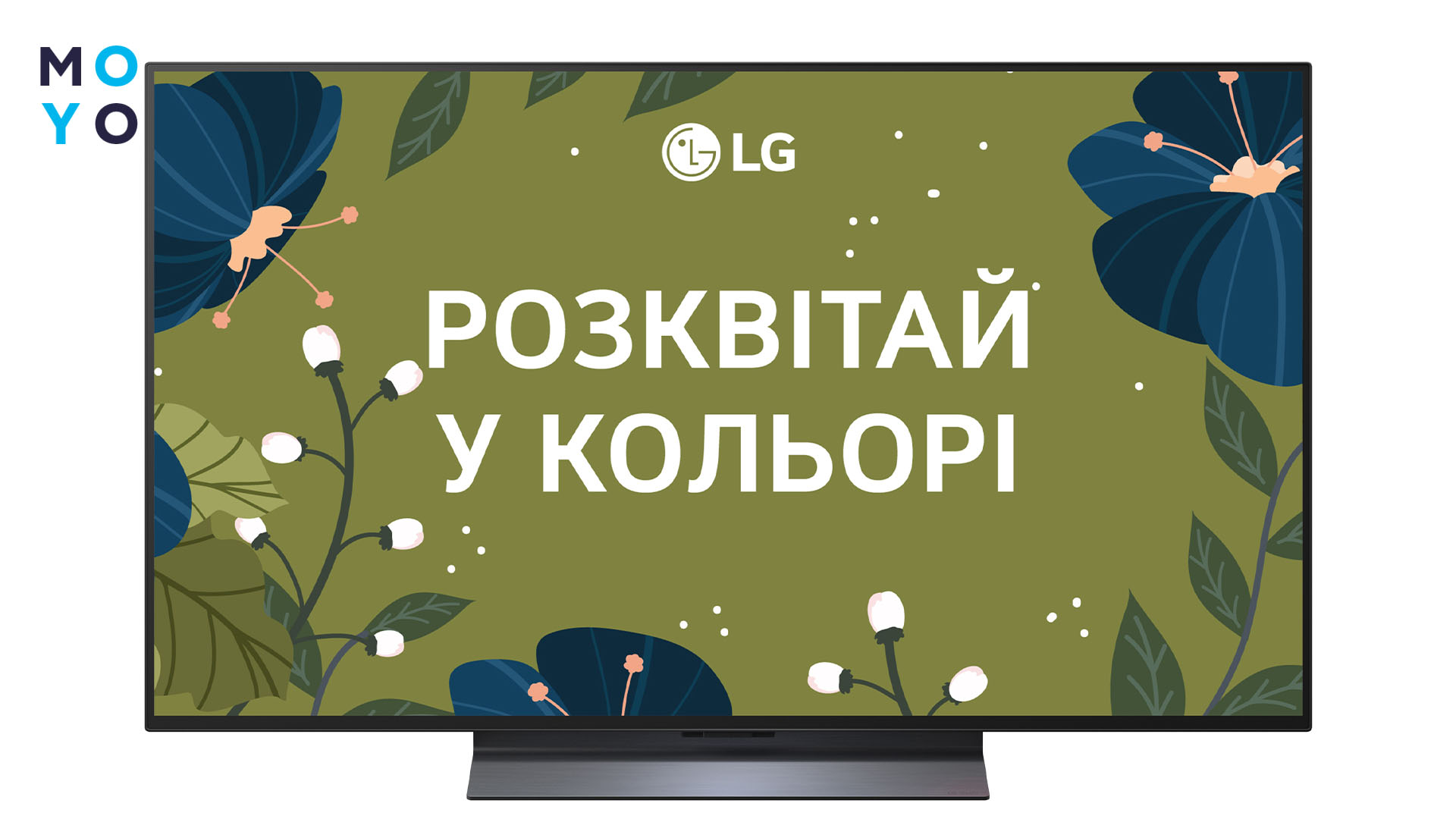 LG OLED evo 48С5