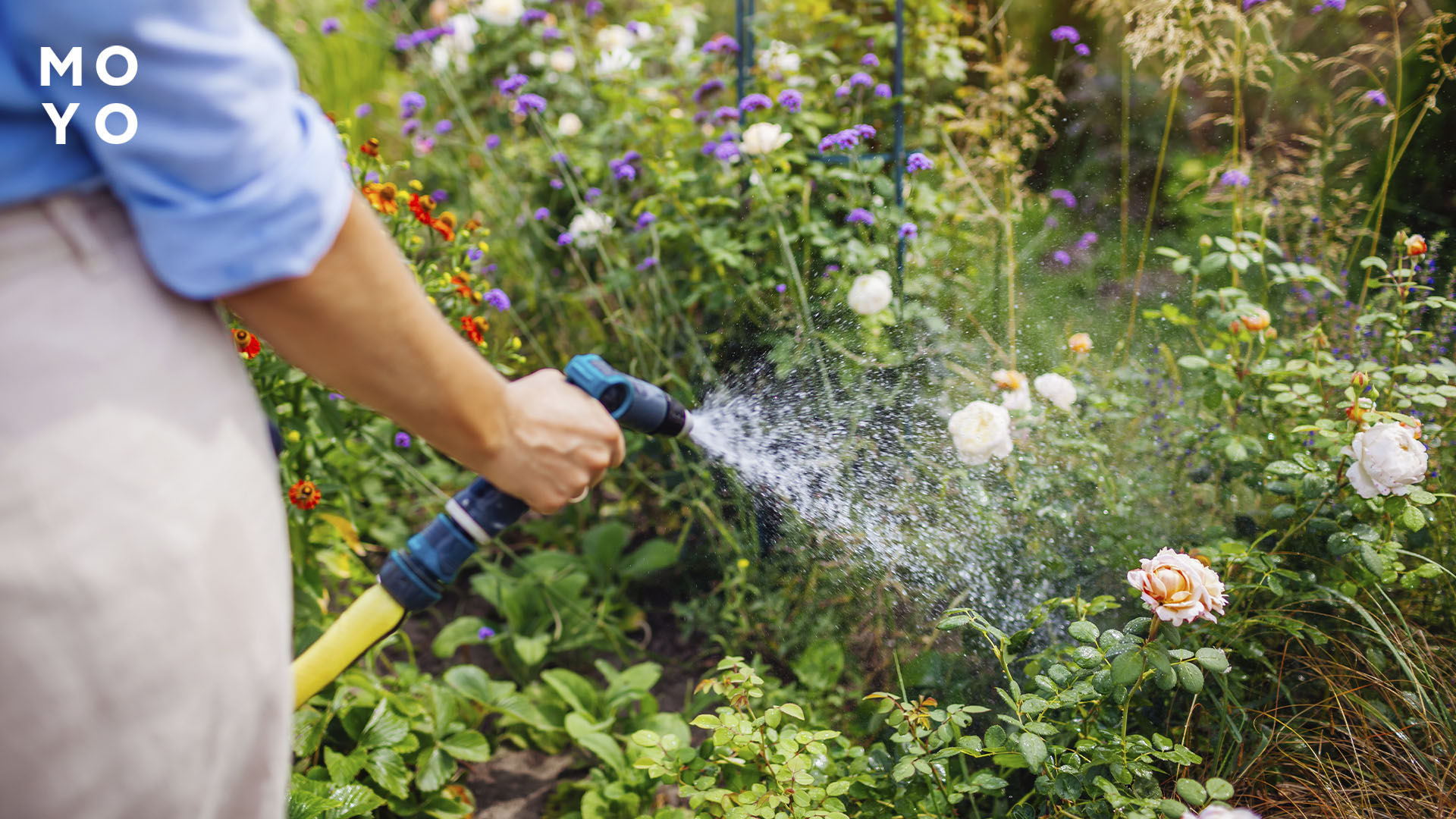 зрошення садових квітів