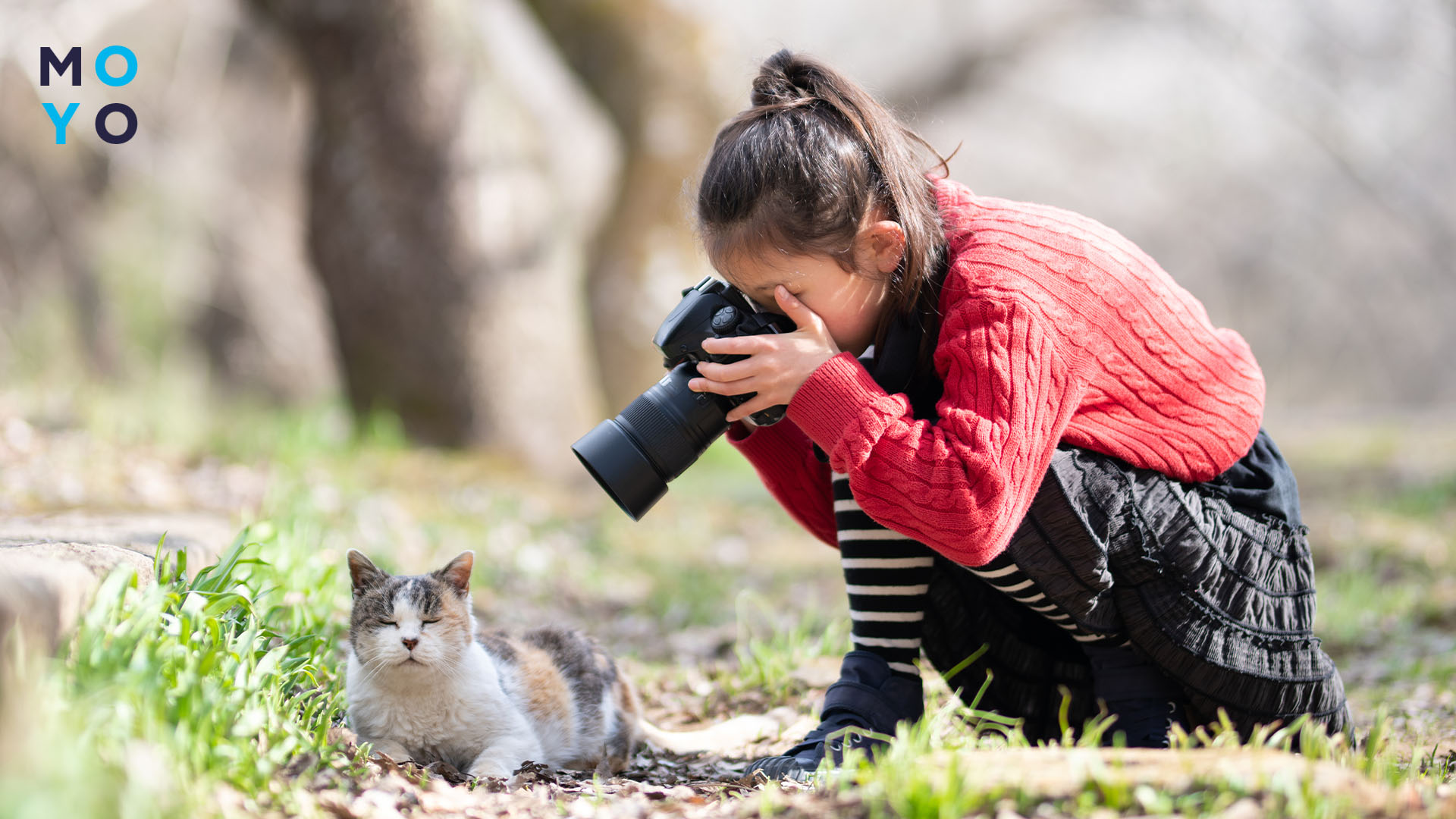 Топ бюджетних фотоапаратів