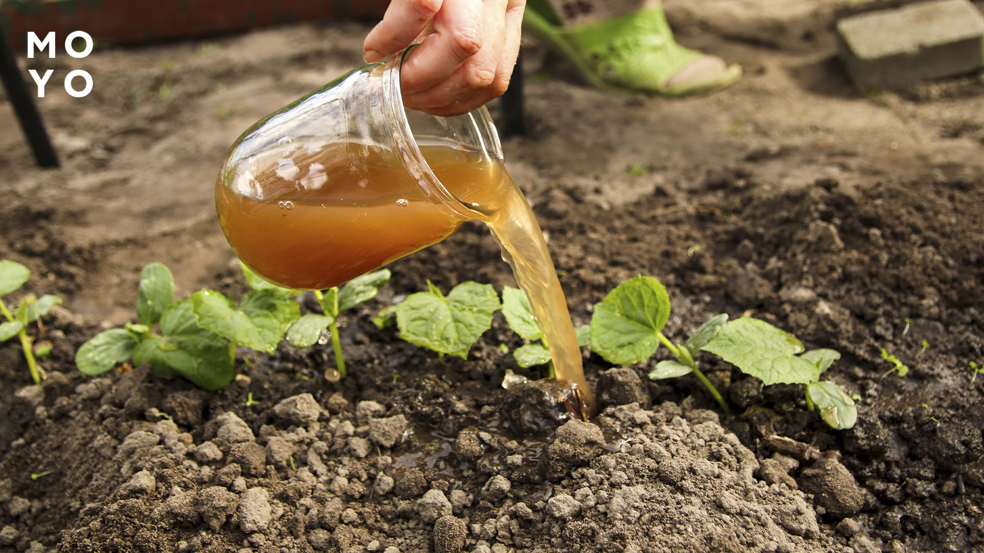 органические удобрения