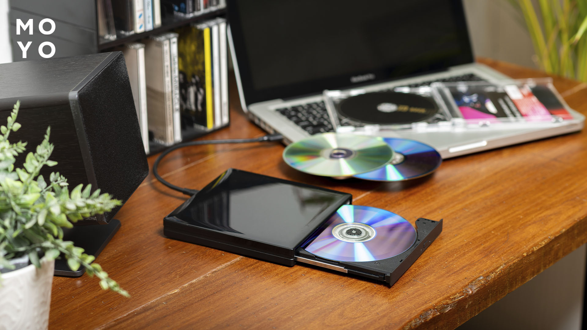 DVD