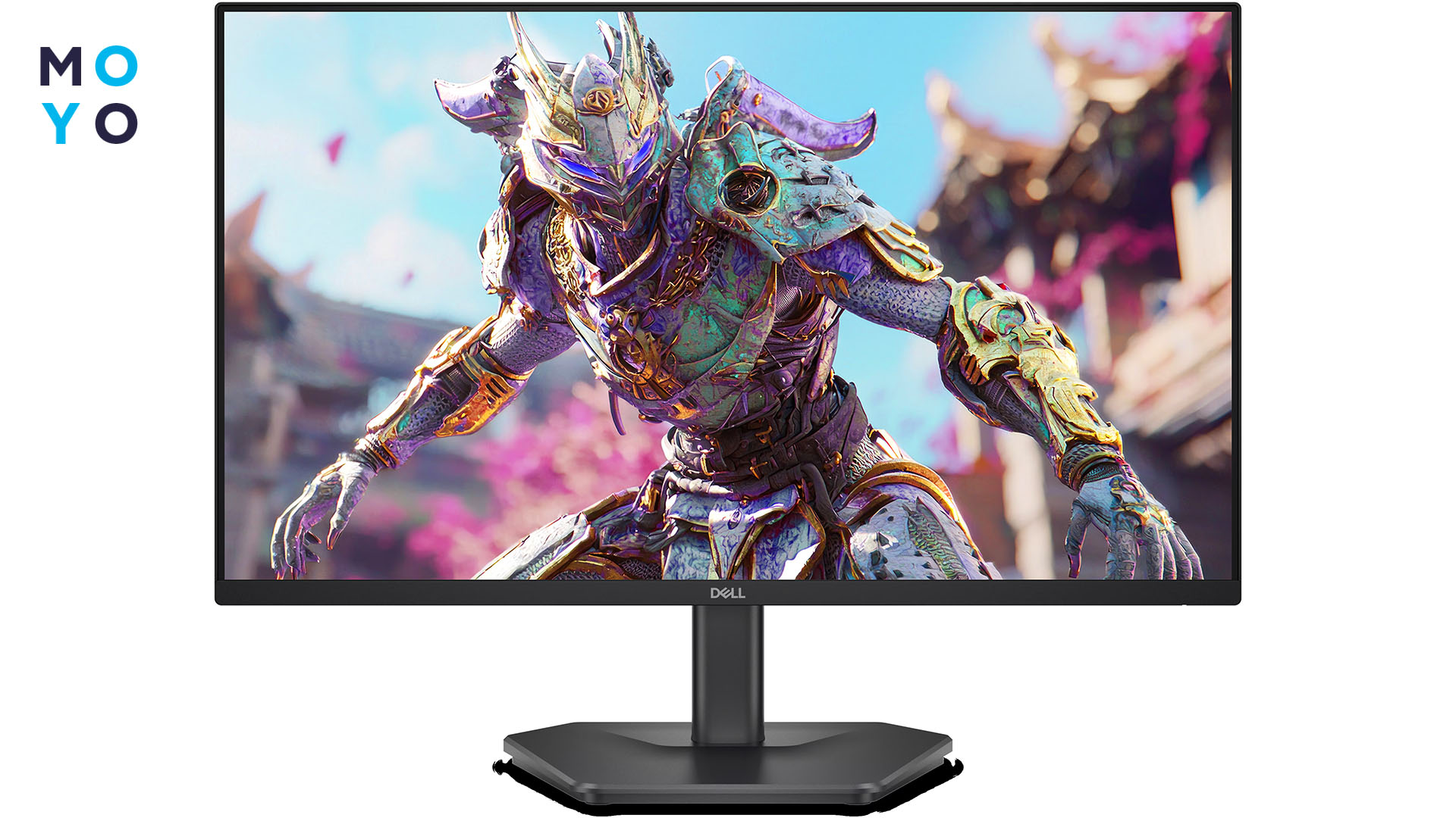 DELL SE2426HG