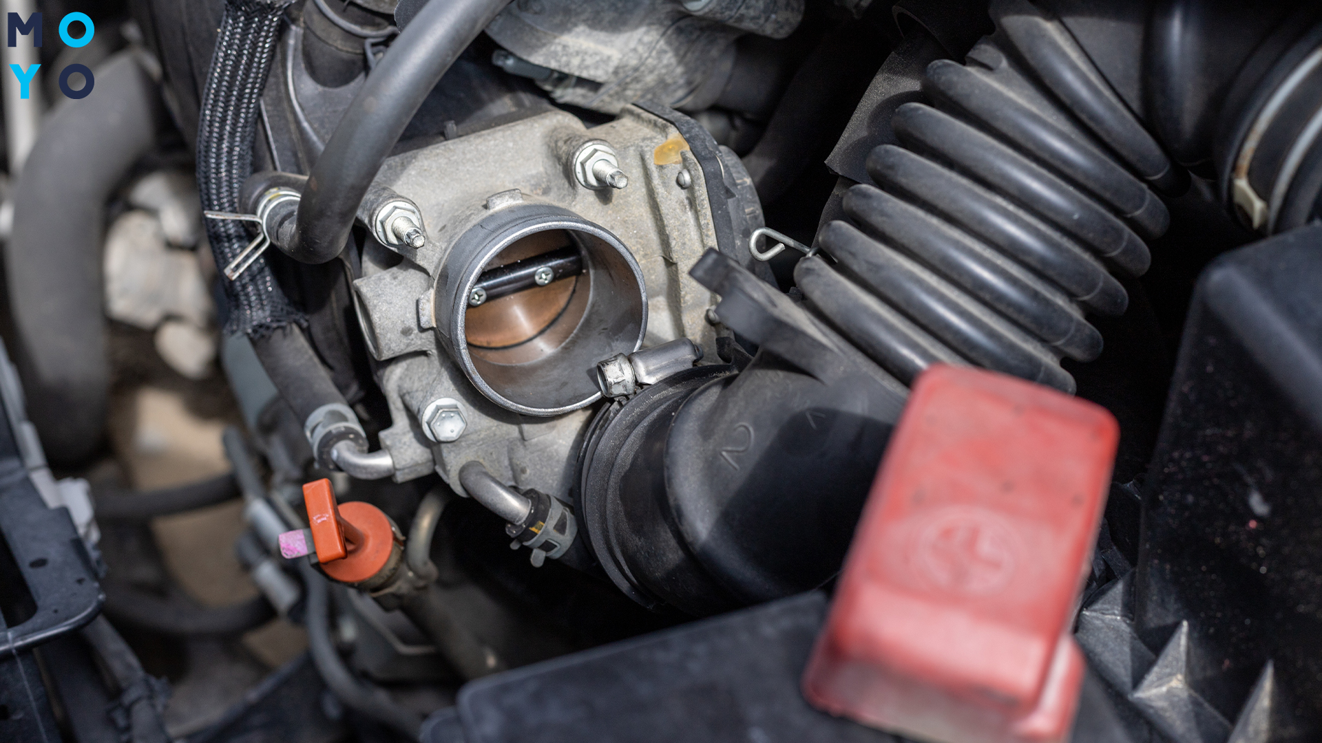 очищення дроселя