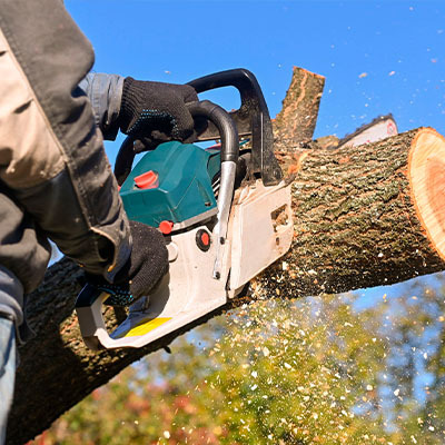 Бензопила для дома: 4 вида инструмента и правила выбора