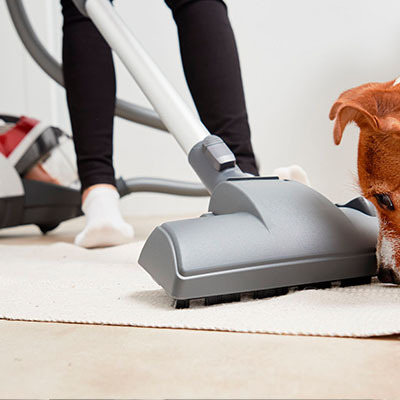 Как выбрать хороший пылесос без мешка