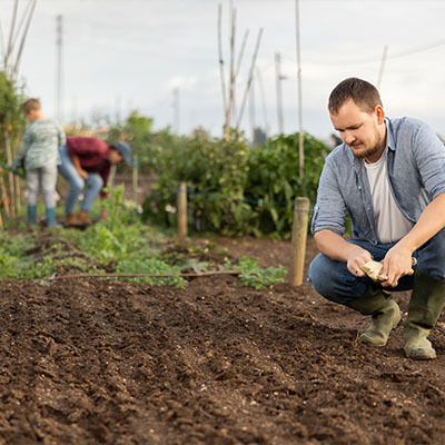 Посевной календарь на август 2025 года с важными датами и 3 советами