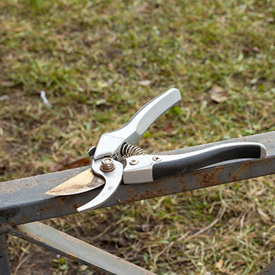 Рейтинг садових ножиць — 5 найкращих моделей за якістю зрізу та довговічністю