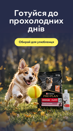 Готуйся для прохолодних днів з улюбленцем