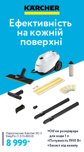 Пароочищувачі Karcher