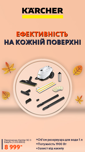 Пароочищувачі Karcher