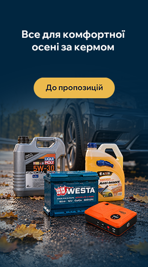 Все для комфортної осені за кермом