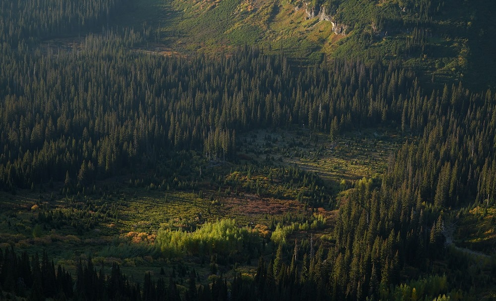 Реалистичное изображение благодаря усовершенствованной оптике