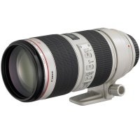 Объектив Canon EF 70-200 mm f/2.8L IS II USM (2751B005)