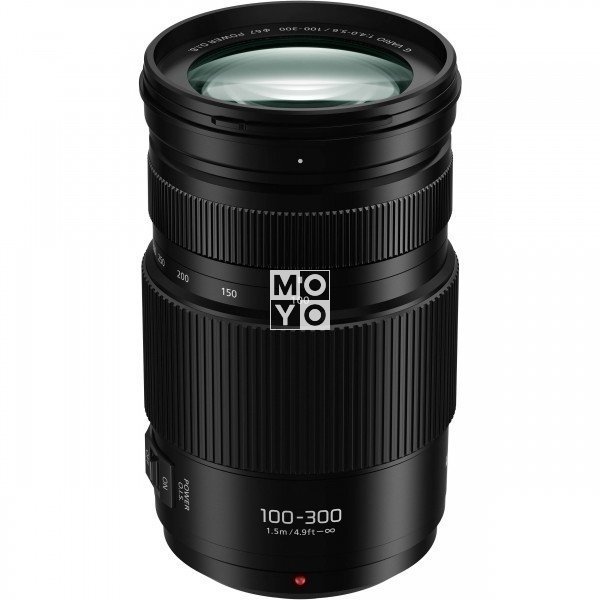 Объектив Panasonic Lumix G Vario 100-300 mm f/4-5.6 II POWER O.I.S. (H-FSA100300E)