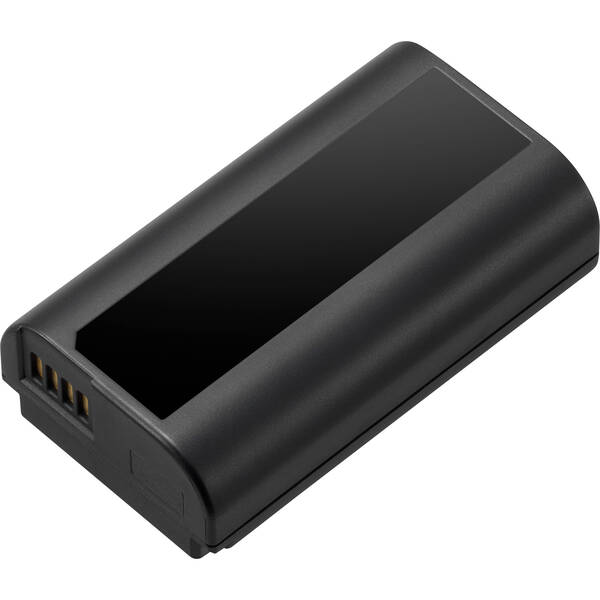 

Аккумулятор Panasonic DMW-BLJ31E для S1, S1R, S1H (DMW-BLJ31E)