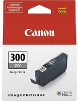 Картридж струйный Canon PFI-300 GY (4200C001)