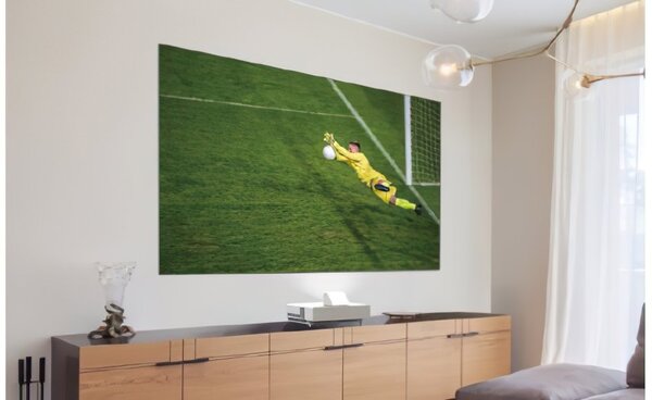 

Экран Epson фиксированный ELPS36 16:9, 120", 2.66x1.5 м ALR (V12H002AG0)