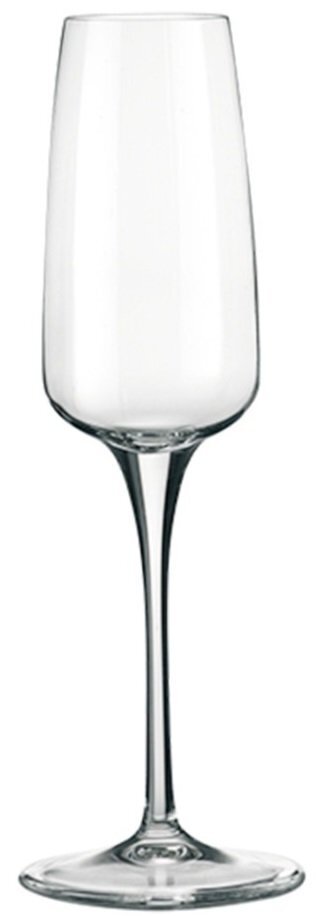 Набор бокалов Bormioli Rocco AURUM для шампанского, 6*223 мл (180811BF9021990) фото 