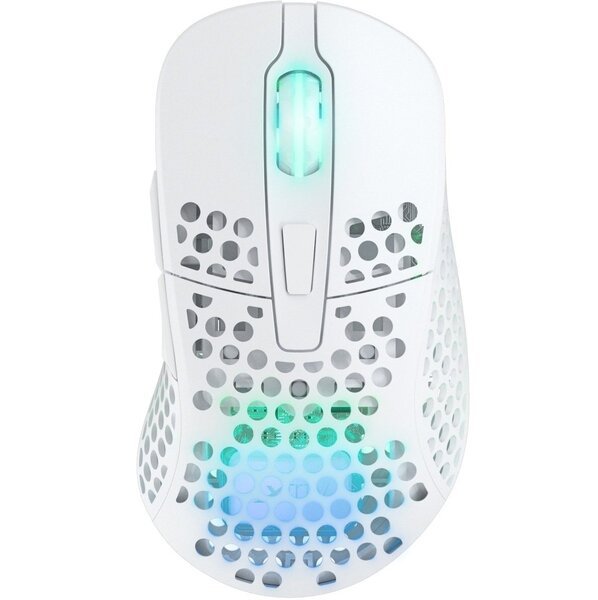 

Игровая мышь Xtrfy M4 RGB Wireless, White (XG-M4-WL-WHITE)