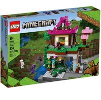 LEGO 21183 Minecraft Площадка для тренировок