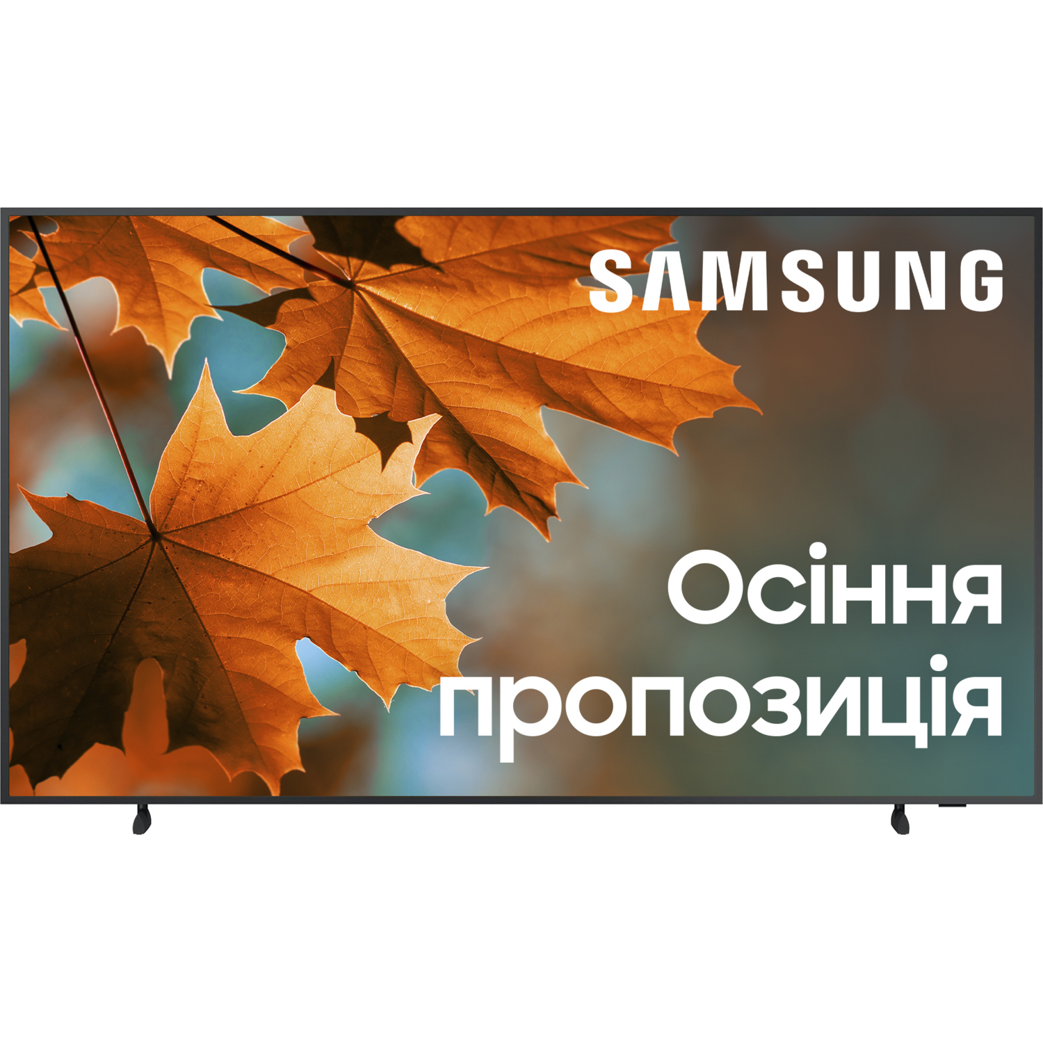 Телевизор Samsung QLED The Frame 65LS03B (QE65LS03BAUXUA) фото 