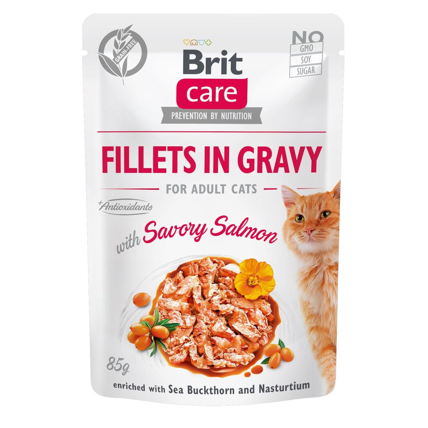 Влажный корм для кошек Brit Care Cat pouch 85г филе в соусе пикантный лосось фото 