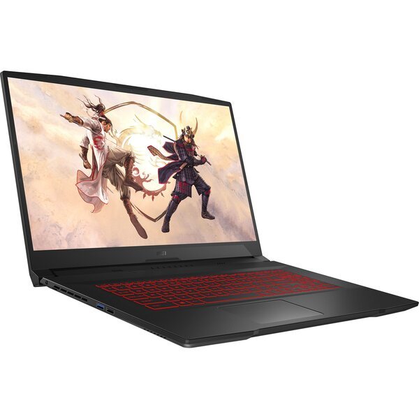 Ноутбук MSI GF66-12UE (GF6612UE-1042XUA) – купить в Киеве | цена и ...