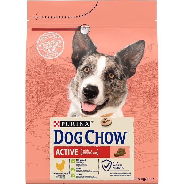 Сухой корм для взрослых активных собак Dog Chow Active Adult с курицей, 2.5 кг