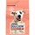 Сухий корм для собак, схильних до алергії Dog Chow Sensitive з лососем, 2.5 кг
