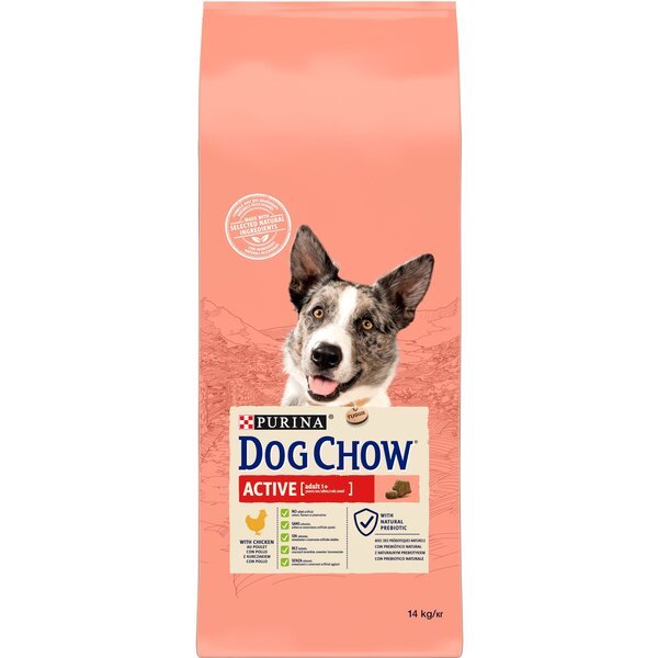 

Сухой корм для активных собак Dog Chow Active Adult с курицей 14 кг