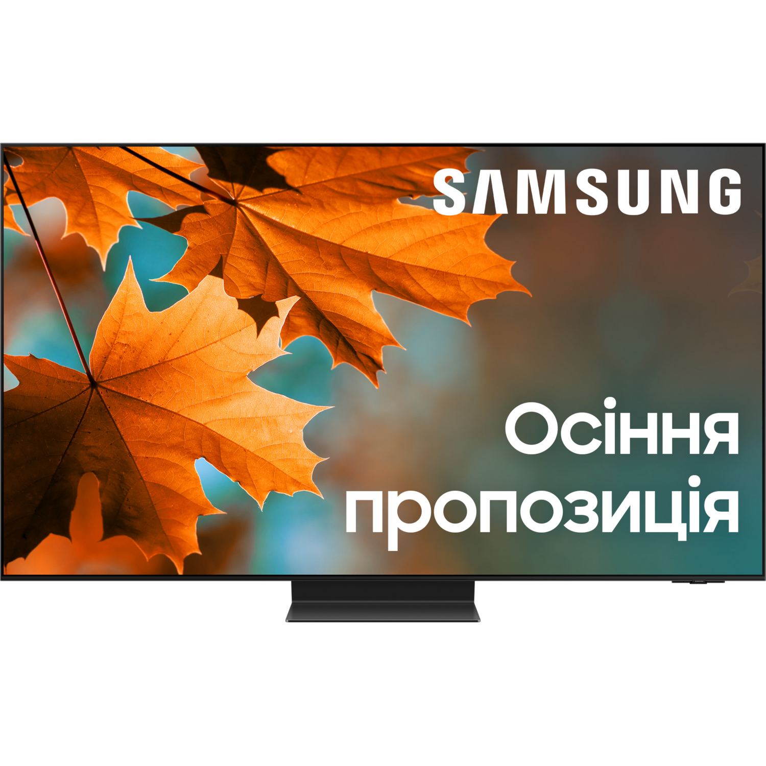 Телевизор Samsung OLED 65S95C (QE65S95CAUXUA) фото 