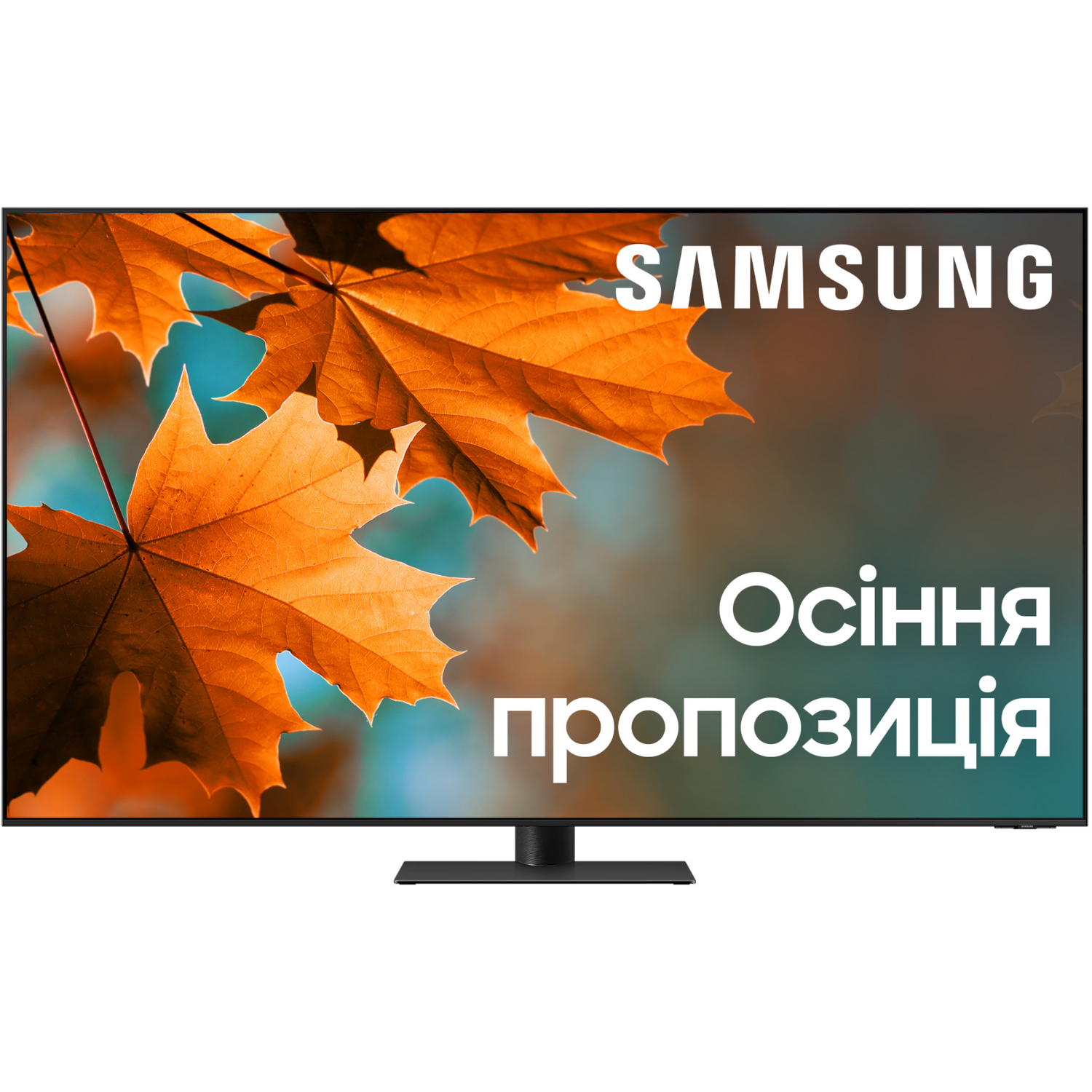 Телевизор Samsung Neo QLED Mini LED 65QN95C (QE65QN95CAUXUA) фото 