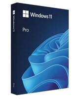 Операционная система Microsoft Windows 11 Pro FPP 64-bit Eng Intl non-EU/EFTA USB (HAV-00164)