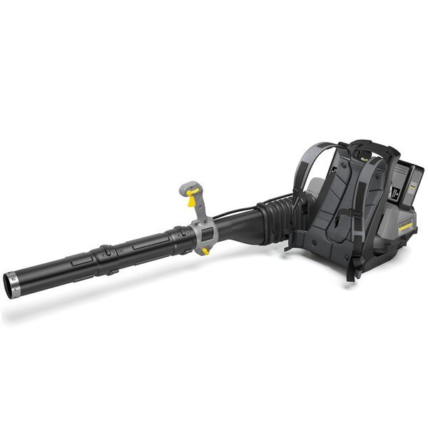

Воздуходувка Karcher LBB 1060/36 Bp, 36В, 6 Ач (1.042-510.0)
