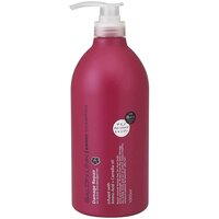 Шампунь відновлювальний Salon Link Amino Damage Shampoo 1000мл