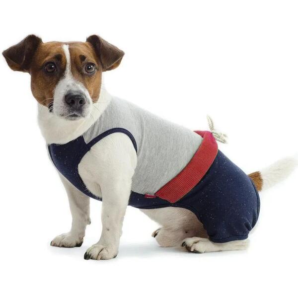 

Костюм для собак Pet Fashion ФИТНЕС яблоко XS -2