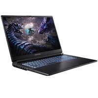 Ноутбук DREAM MACHINES G1650-17 (G1650-17UA97)