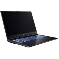 Ноутбук DREAM MACHINES RG3050-17 (RG3050-17UA51)