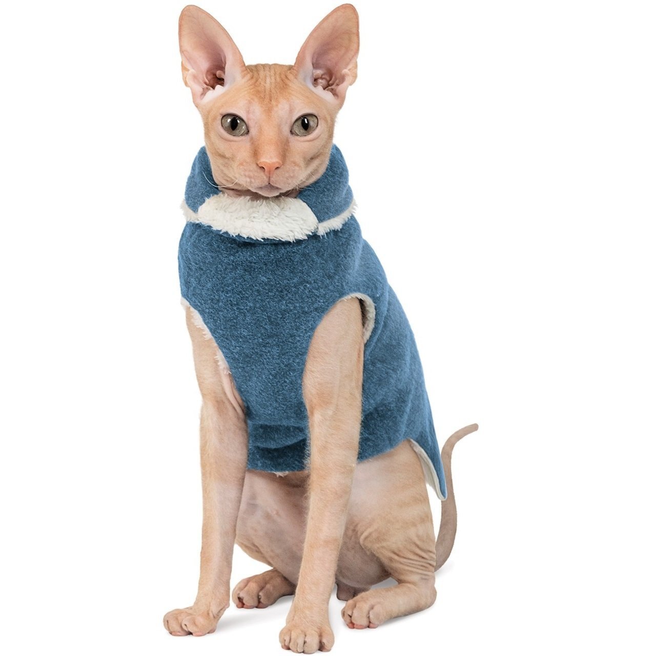 Светр для кішки Pet Fashion CAT бірюзовий Lфото