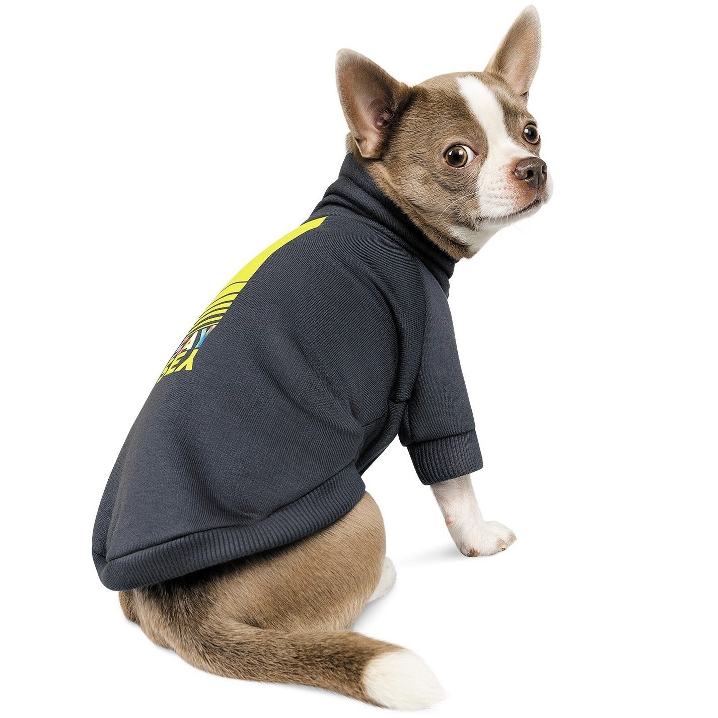 Толстовка для собак Pet Fashion Сarbon XS2 темно-серый фото 