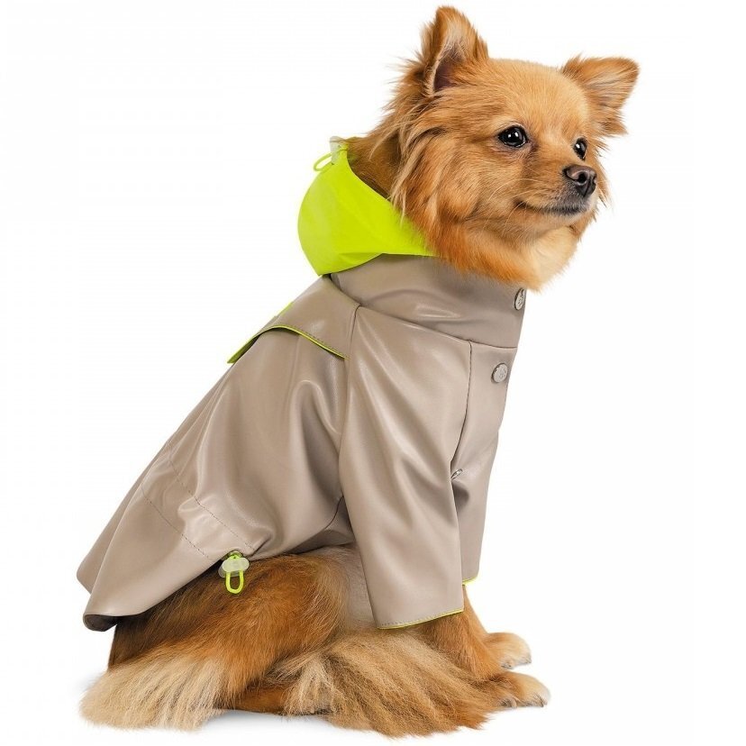 Ветровка для собак Pet Fashion Fresh S бежевая фото 