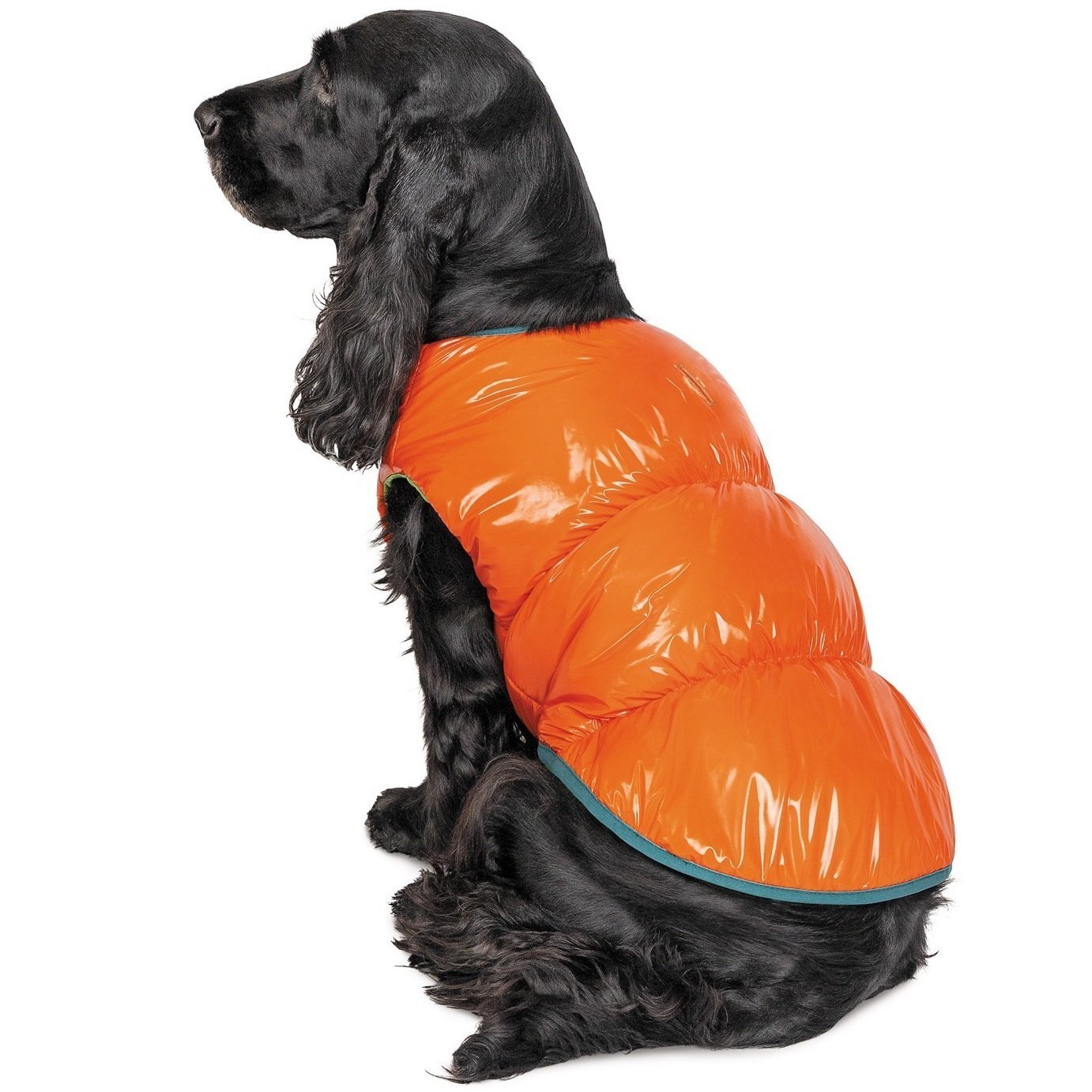 Жилет для собак Pet Fashion SPRING оранжевый M фото 