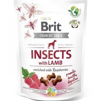Ласощі для собак Brit Care для травлення, комахи, ягня та малина, 200 г