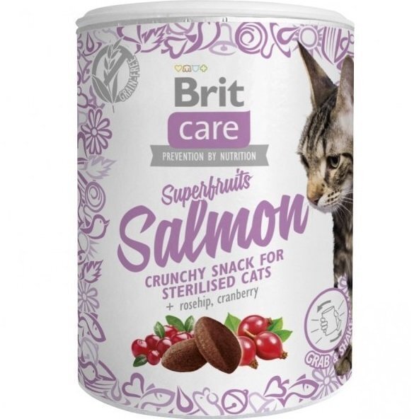 Лакомства для кошек Brit Care Snack Superfruits лосось, 100 г