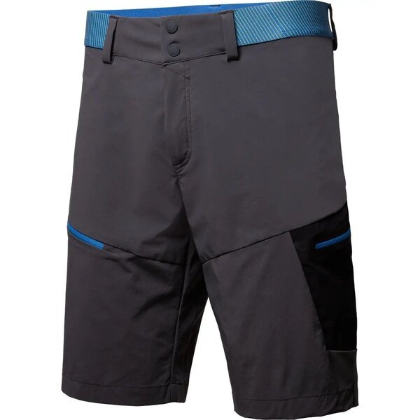 

Шорты мужские Salewa Pedroc Cargo 2 DST M Shorts 26934 311 52/XL