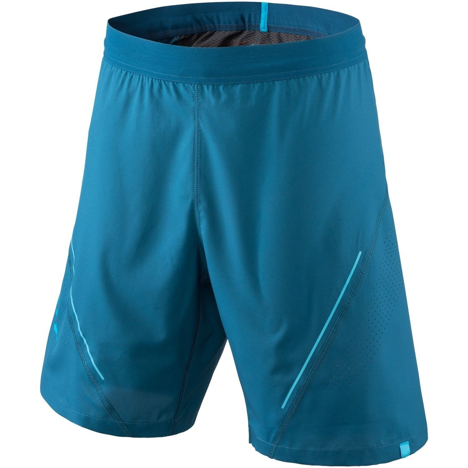 Шорты мужские Dynafit Alpine 2 M Shorts 71160 8811 52/XL синий фото 