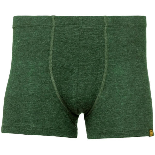 Термотрусы мужские Turbat Retezat Boxer Mns kombu green XXXL хаки