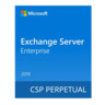 Microsoft Exchange Server Enterprise 2019 (DG7GMGF0F4MF-0003)