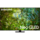 Телевизор Samsung Neo QLED Mini LED 65QN90D (QE65QN90DAUXUA)
