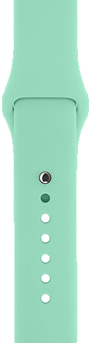 Ремінець ArmorStandart Sport Band (3 Straps) для Apple Watch 42 (Series 11-10)/41/40/38 Succulent (ARM65081)фото1